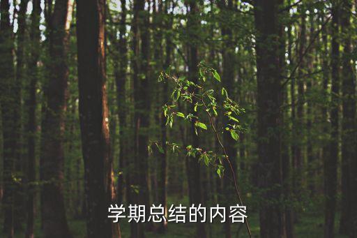 學期總結的內容