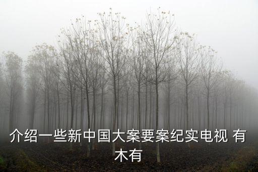 介紹一些新中國大案要案紀實電視 有木有