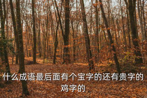 什么成語(yǔ)最后面有個(gè)寶字的還有貴字的雞字的