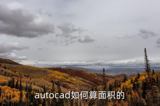 autocad如何算面積的