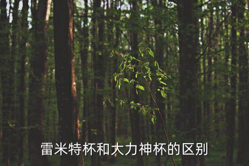 雷米特，雷米特杯和大力神杯哪個(gè)貴