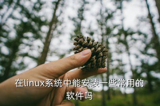 linux軟件，在linux系統中能安裝一些常用的軟件嗎
