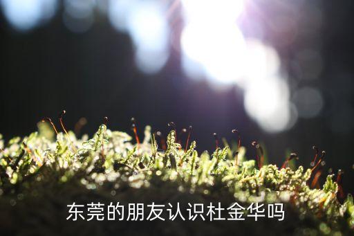 杜金華，中國有多少個杜金華