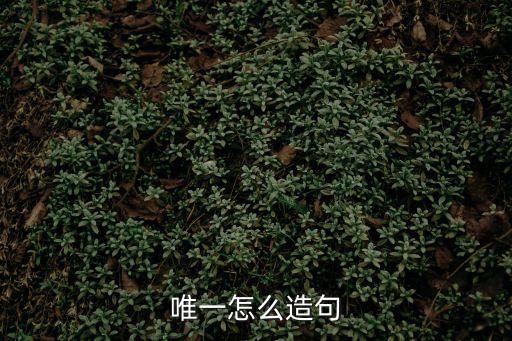 唯一怎么造句