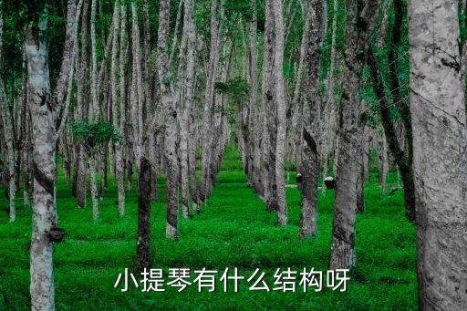小提琴結構，小提琴由四條弦所構成分別什么音
