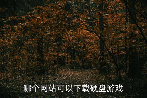 硬盤游戲下載，哪個網(wǎng)站可以下載硬盤游戲