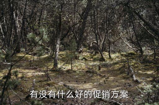 促銷方案，商品促銷方案要怎么寫