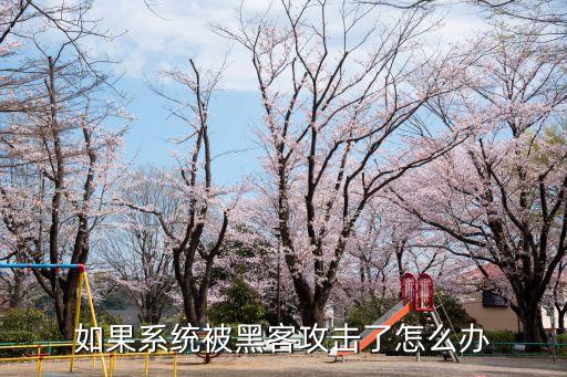 如果系統被黑客攻擊了怎么辦