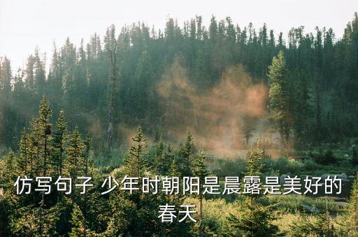 仿寫句子 少年時朝陽是晨露是美好的春天