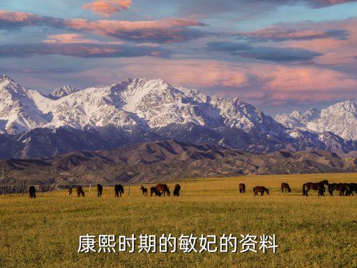 清穿之敬敏皇貴妃，關于敏妃的清穿小說