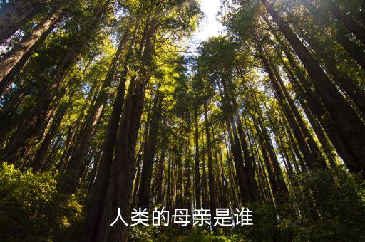 人母，身為人母的你有何感想呢后天
