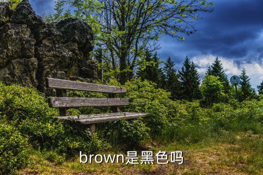 brown是黑色嗎