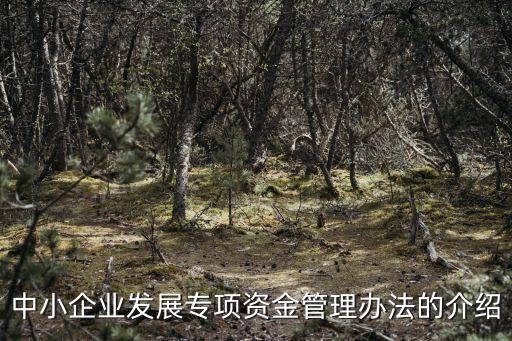 財政資金管理辦法，財政資金的類別及其財務處理辦法