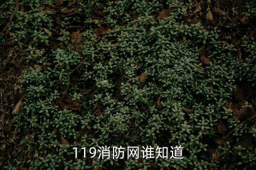 119消防網(wǎng)，119消防網(wǎng)在119消防日來臨之際有活動(dòng)嗎
