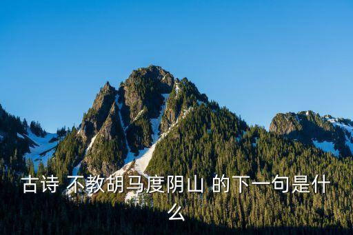 不教胡馬度陰山上一句，不教胡馬度陰山的前一句是