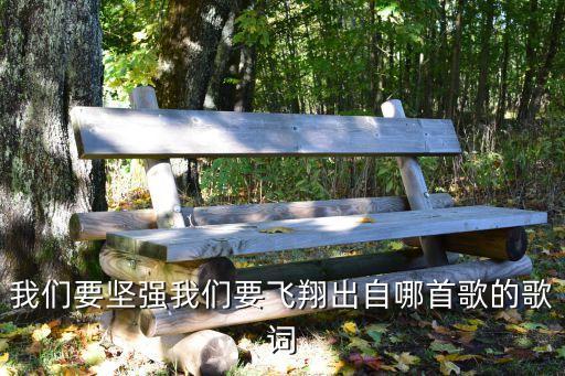 別哭我親愛的人，我們要堅強我們要飛翔出自哪首歌的歌詞