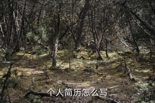 如何寫簡歷，個人簡歷怎么寫