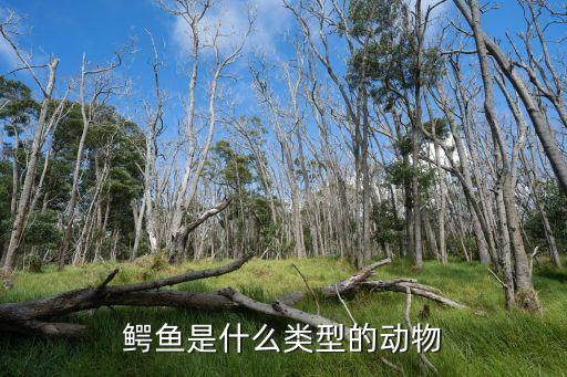 鱷魚簡介，鱷魚是什么動物