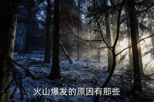 火山爆發(fā)的原因有那些