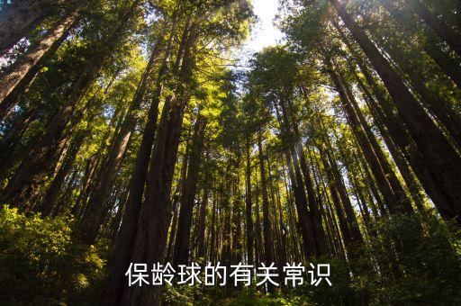 保齡球怎么玩，保齡球的有關常識