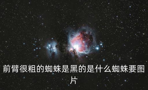 黑色蜘蛛，農(nóng)村里的那種黑色的腿粗的身體長的是什么蜘蛛有毒嗎