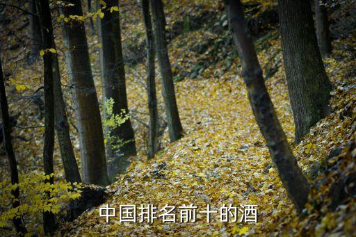 中國排名前十的酒