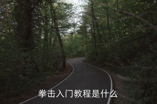 拳擊入門教程是什么