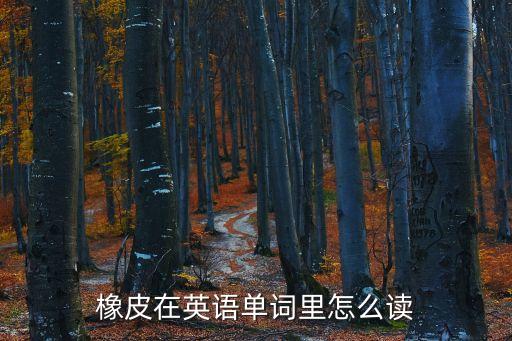 橡皮英文怎么讀，橡皮在英語單詞里怎么讀