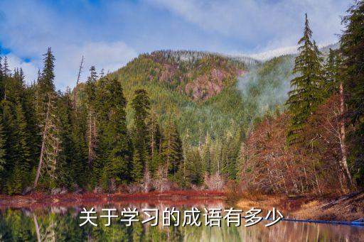 描寫學習的成語，關于學習的成語有多少