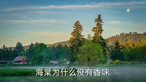 海棠為什么沒有香味
