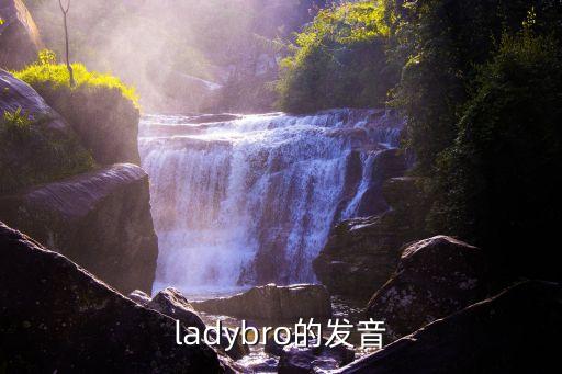 ladybro，ladybro的發音