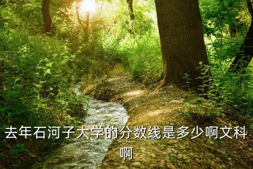 石河子大學(xué)錄取分?jǐn)?shù)線，石河子大學(xué)在甘肅的招生分?jǐn)?shù)為多少
