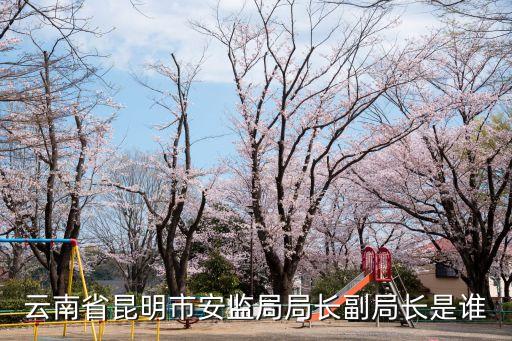 云南省昆明市安監局局長副局長是誰