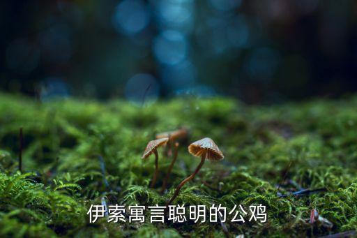 聰明的公雞，聰明的公雞的啟示是什么