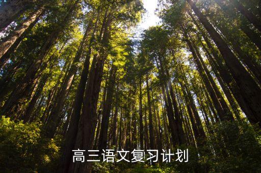 高三語文復習計劃，高三語文復習計劃