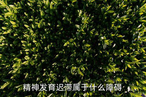 精神發育遲滯屬于什么障礙