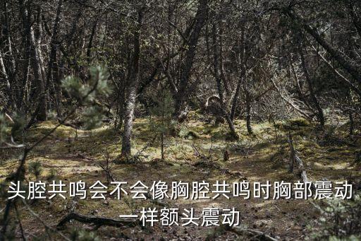 頭腔共鳴會不會像胸腔共鳴時胸部震動一樣額頭震動
