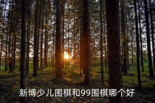 新博圍棋，無憂圍棋和新博圍棋哪個好