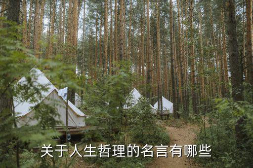 感悟人生哲理名言，關(guān)于感悟生活哲理的名言或諺語有哪些