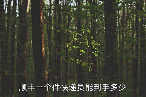 順豐一個件快遞員能到手多少
