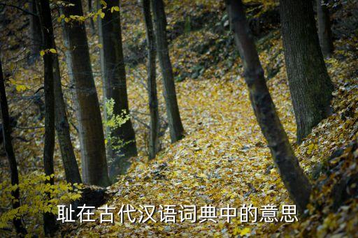 恥，恥是什么意思