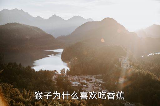 猴子吃香蕉，猴子會(huì)吃香蕉嗎