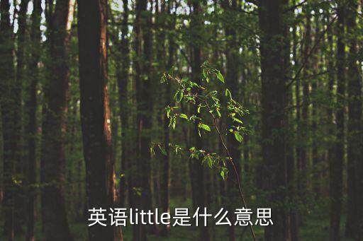 little，little的意思是什么