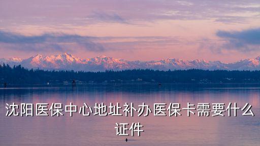 沈陽醫保中心地址補辦醫保卡需要什么證件