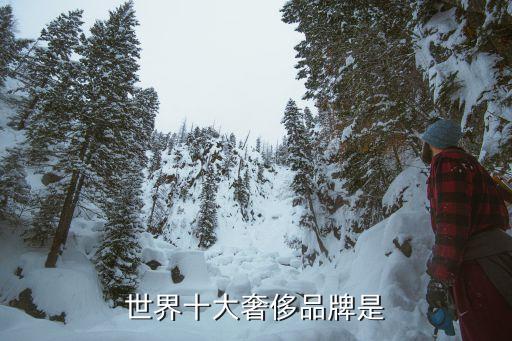 世界十大奢侈品牌是