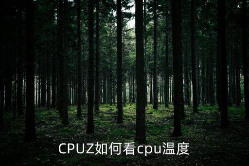 cpuz怎么看，怎么看電腦睿頻
