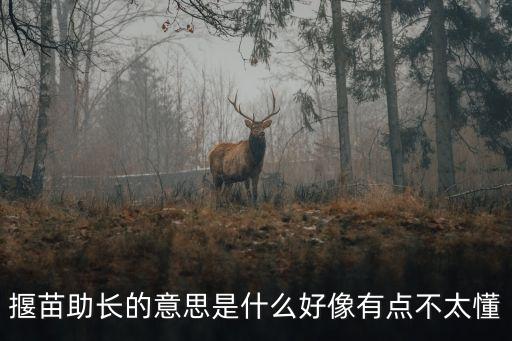 揠苗助長的意思是什么好像有點不太懂
