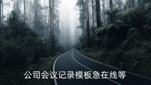 公司會議記錄模板急在線等
