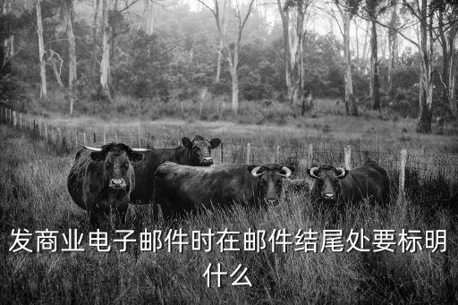 商務(wù)郵件結(jié)尾，商務(wù)郵件結(jié)尾除了順祝商祺還可以寫什么歇歇