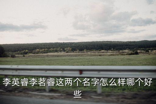 李英睿，誰能幫我兒子起個名字我姓李我兒子在英字輩兒上急急
